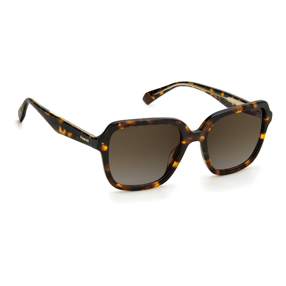 Polaroid Brown Acetate Sunglasses