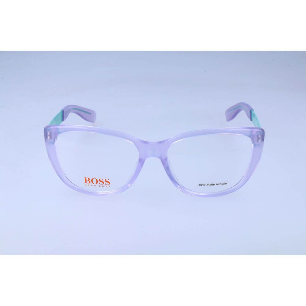 Hugo Boss Multicolor Acetate Glasses (Frames)