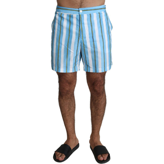 Striped Elegance Swim Shorts