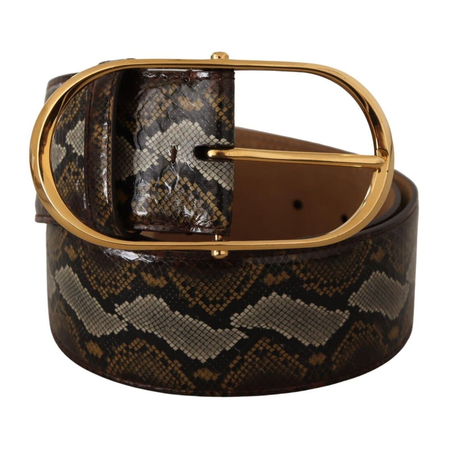Dolce & Gabbana Brown Python Leather Gold Oval Buckle Belt