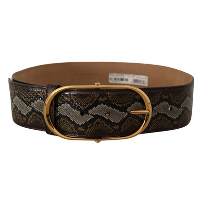 Dolce & Gabbana Brown Python Leather Gold Oval Buckle Belt