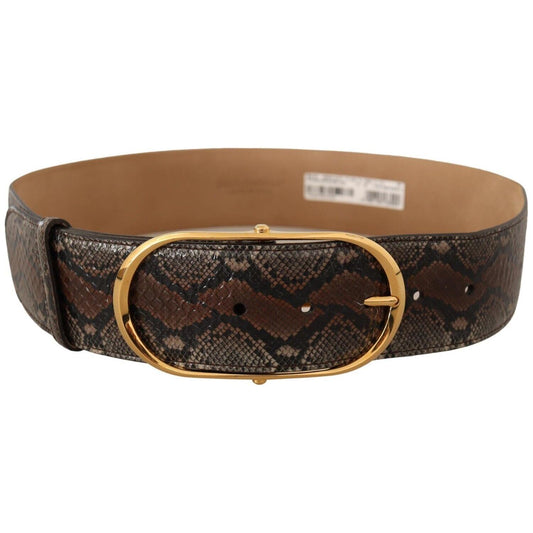 Elegant Brown Leather Belt with Gold Buckle