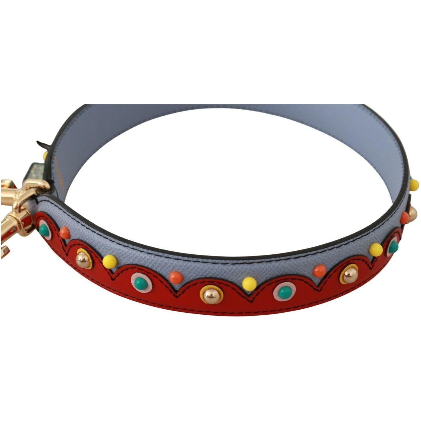 Elegant Multicolor Leather Shoulder Strap