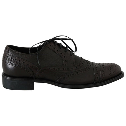 Dolce & Gabbana Brown Leather Wingtip Derby Formal Shoes