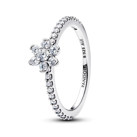 PANDORA JEWELRY Mod. 194499C01-54-0