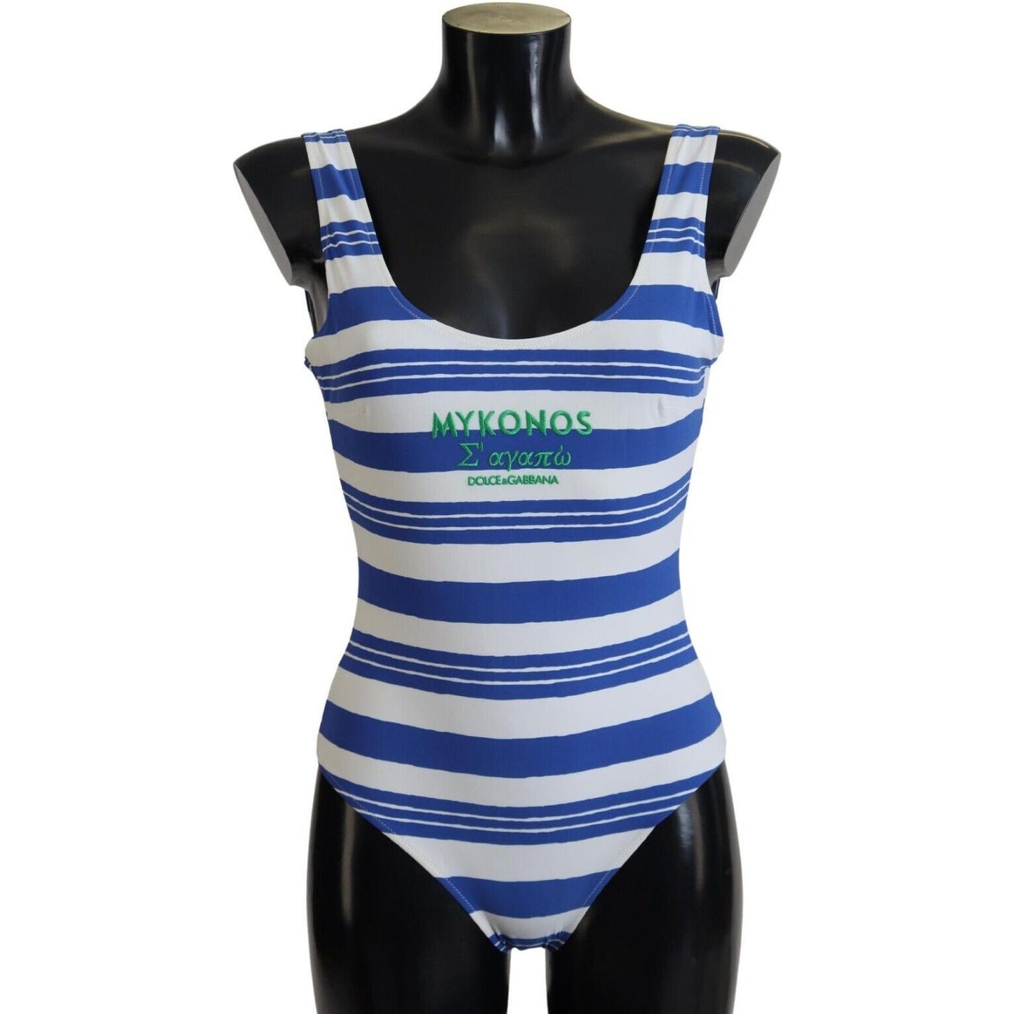 Riviera Chic Blue Striped One Piece Swimsuit