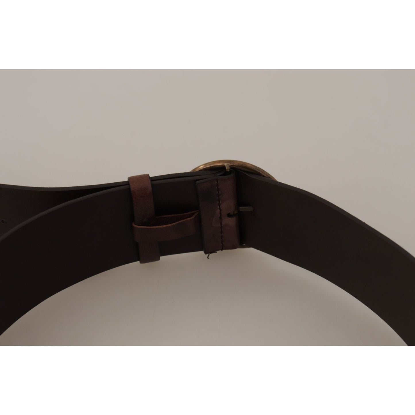 Dolce & Gabbana Dark Brown Wide Calf Leather Logo Round Buckle Belt