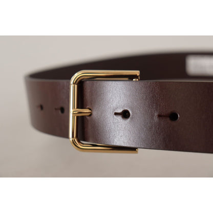 Dolce & Gabbana Brown Plain Calf Leather Gold Tone Buckle Belt