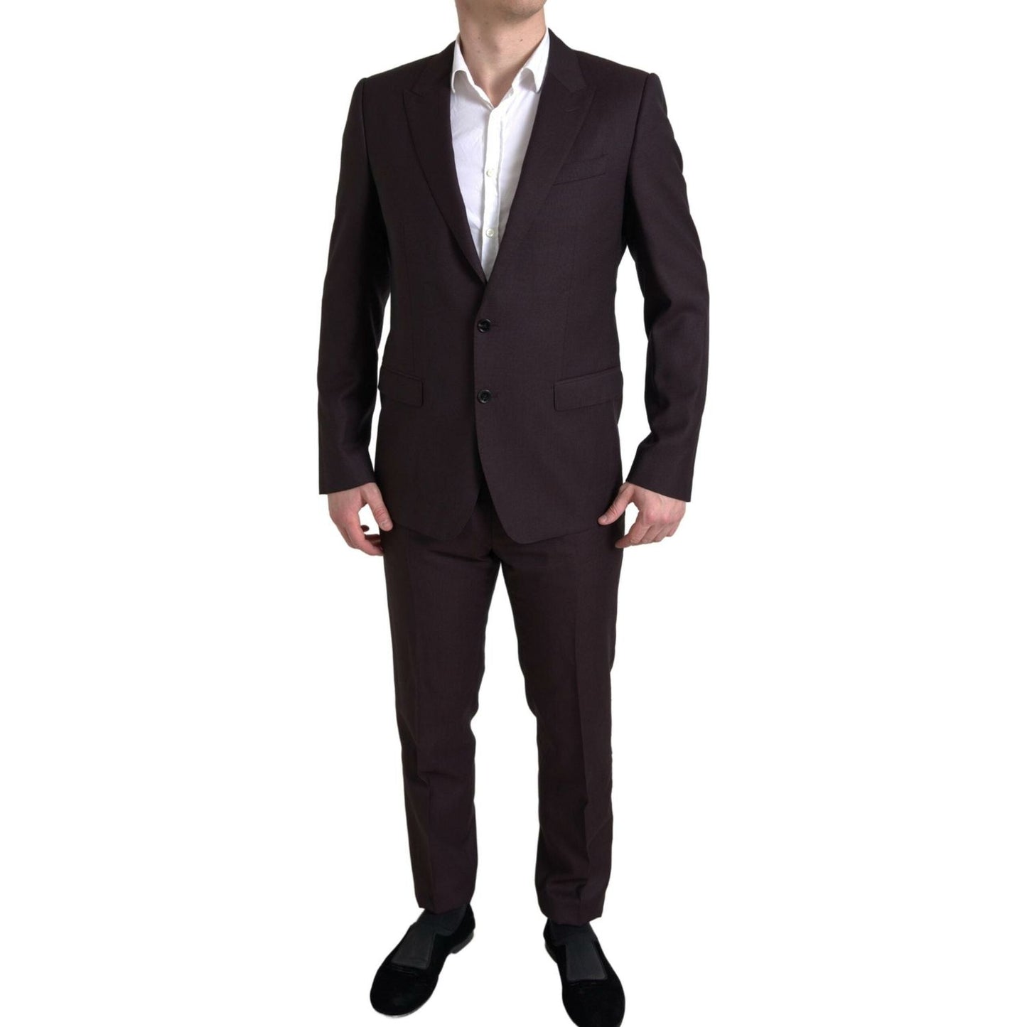 Maroon Martini Slim Fit 2-Piece Suit