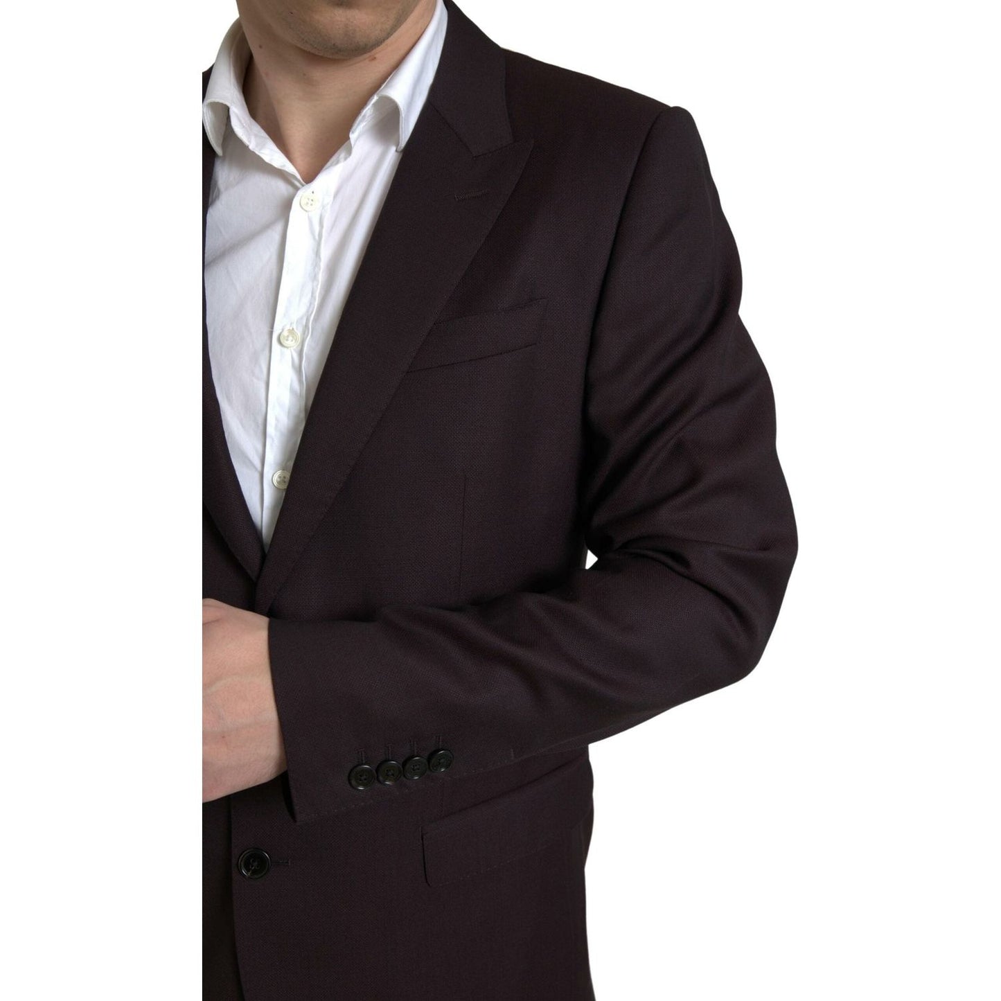 Maroon Martini Slim Fit 2-Piece Suit