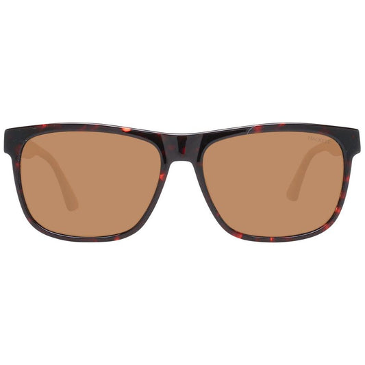 Brown Men Sunglasses