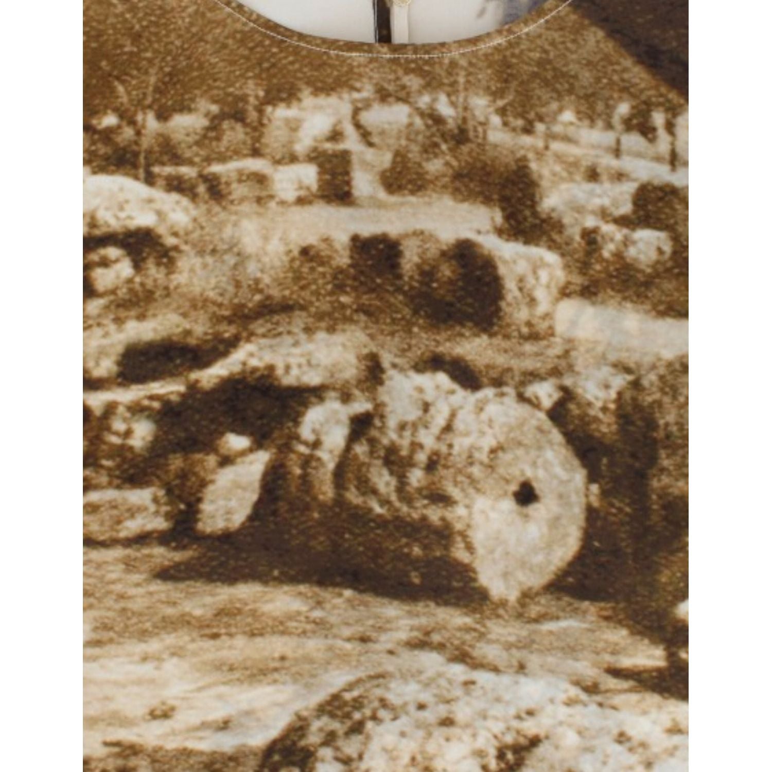 بلوزة من الحرير بطبعة تاورمينا من دولتشي آند غابانا Enchanted Sicily