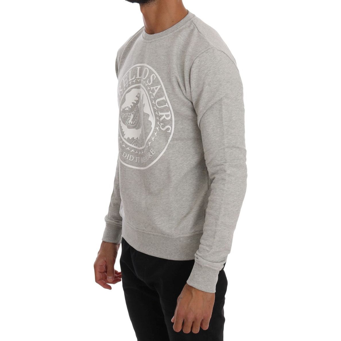 Chic Morellosaurs Crewneck Cotton Sweater