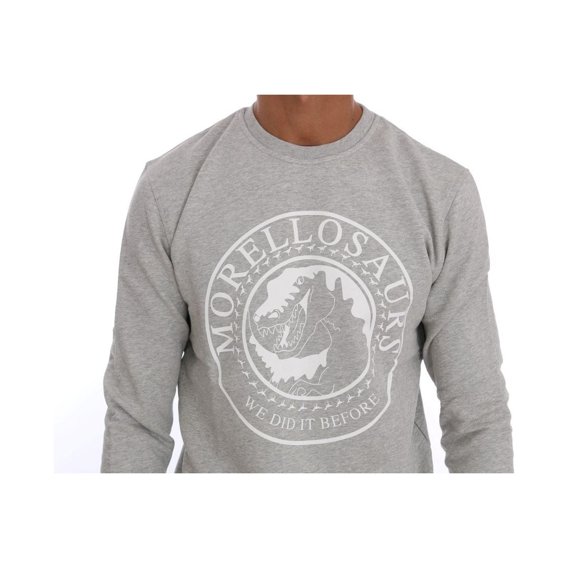 Chic Morellosaurs Crewneck Cotton Sweater