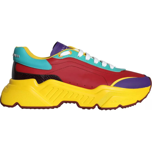 Multicolor Daymaster Low Top Sneakers Shoes