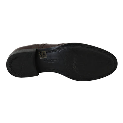 Dolce & Gabbana Brown Leather Brogue Derby Dress Shoes Dolce & Gabbana