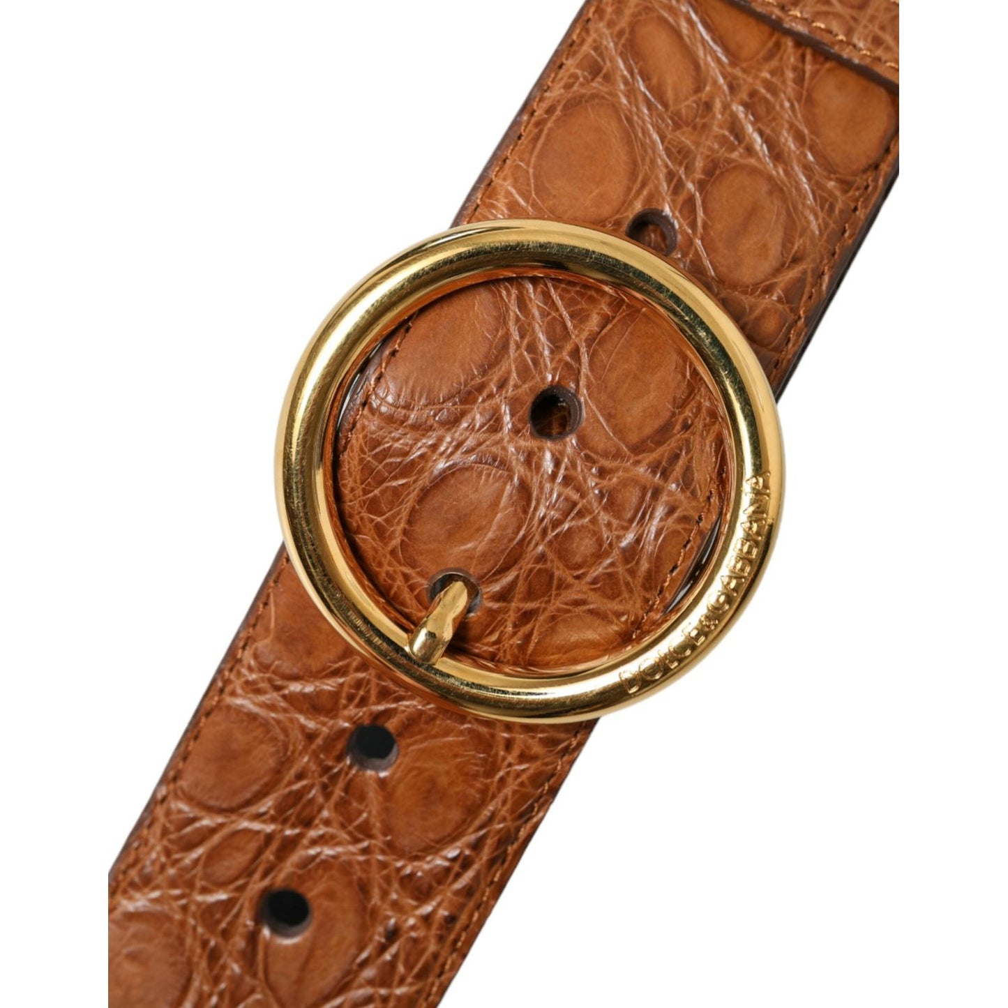 Dolce & Gabbana | Elegant Exotic Leather Belt - Rich Brown| McRichard Designer Brands   