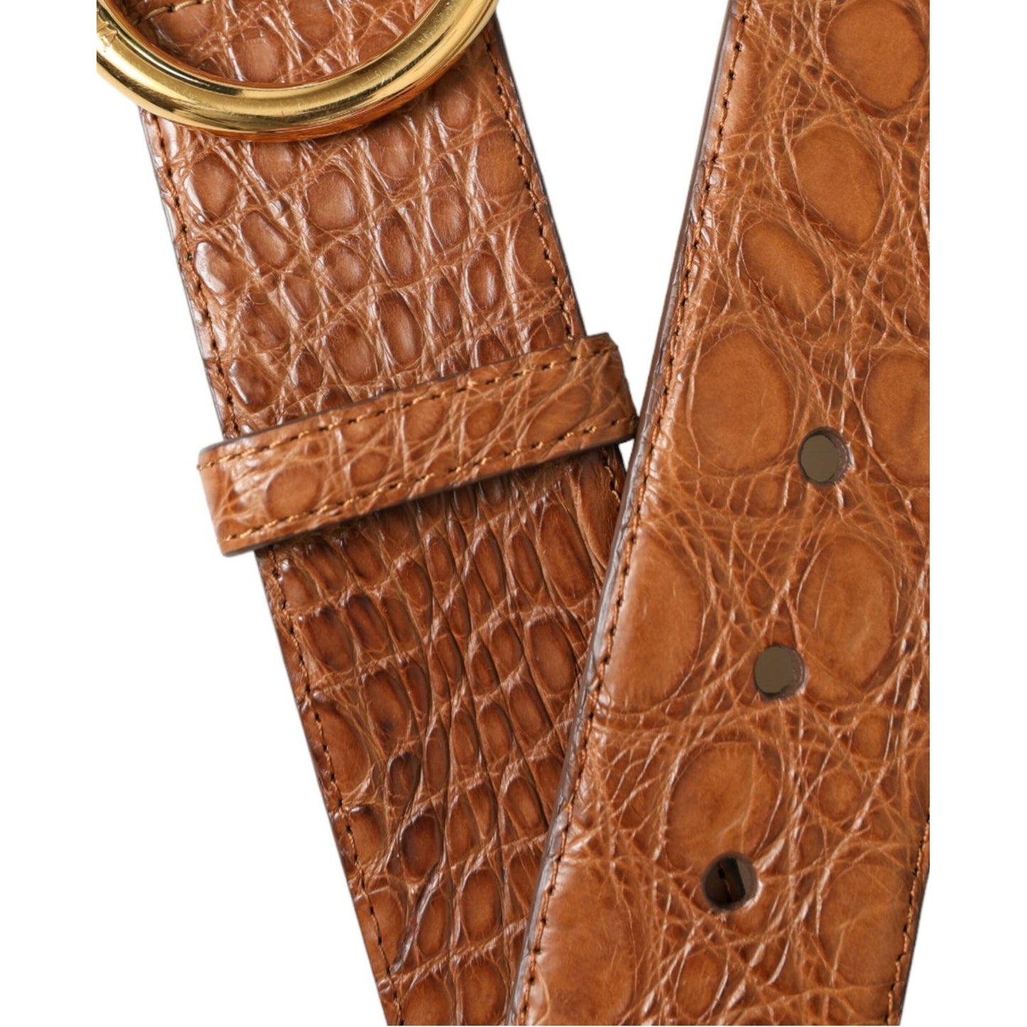Dolce & Gabbana | Elegant Exotic Leather Belt - Rich Brown| McRichard Designer Brands   
