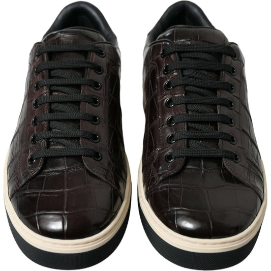 Dolce & Gabbana Elegant Exotic Leather Low-Top Sneakers brown-croc-exotic-leather-men-casual-sneakers-shoes