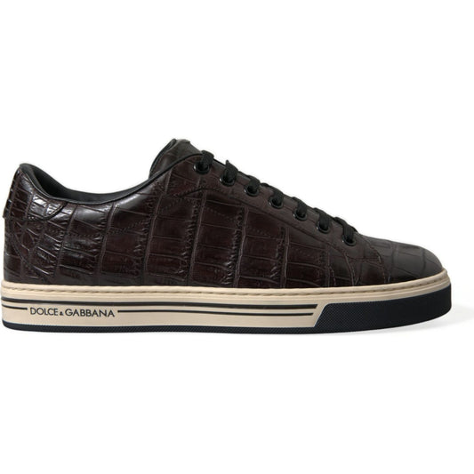 Dolce & Gabbana Elegant Exotic Leather Low-Top Sneakers brown-croc-exotic-leather-men-casual-sneakers-shoes