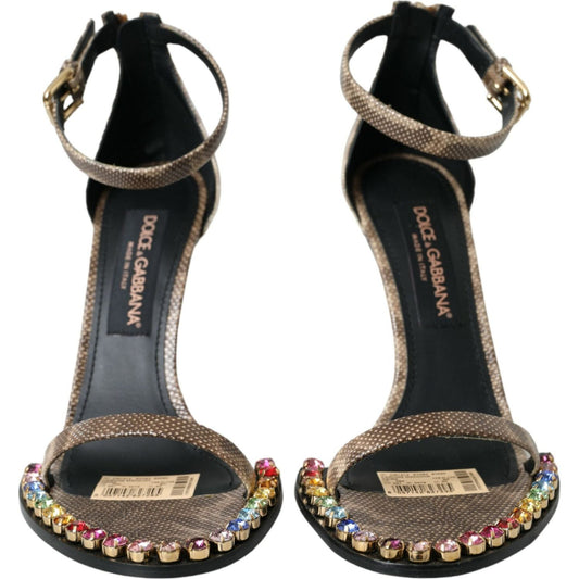 Dolce & Gabbana Brown Exotic Leather Crystal Sandals Shoes brown-exotic-leather-crystal-sandals-shoes