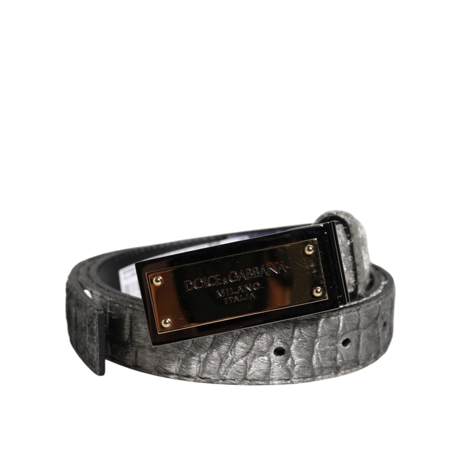Dolce & Gabbana Silver Classic Gold Logo Plaque Buckle Belt
