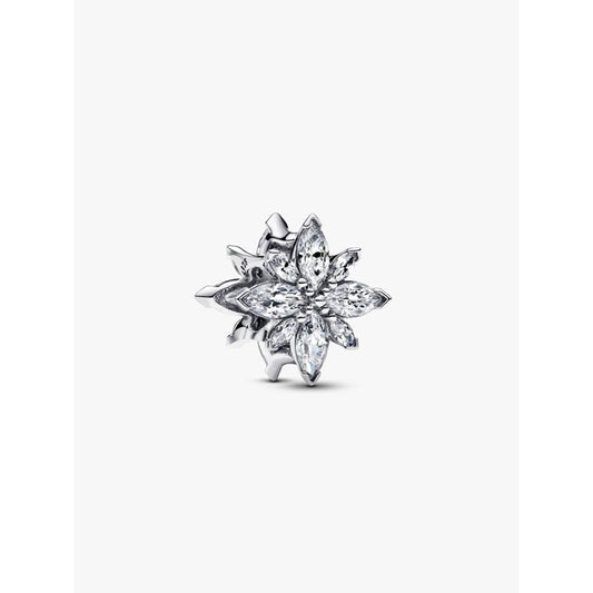 PANDORA Mod. 793591C01