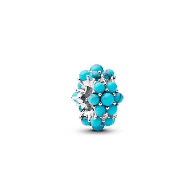 PANDORA Mod. 793897C02