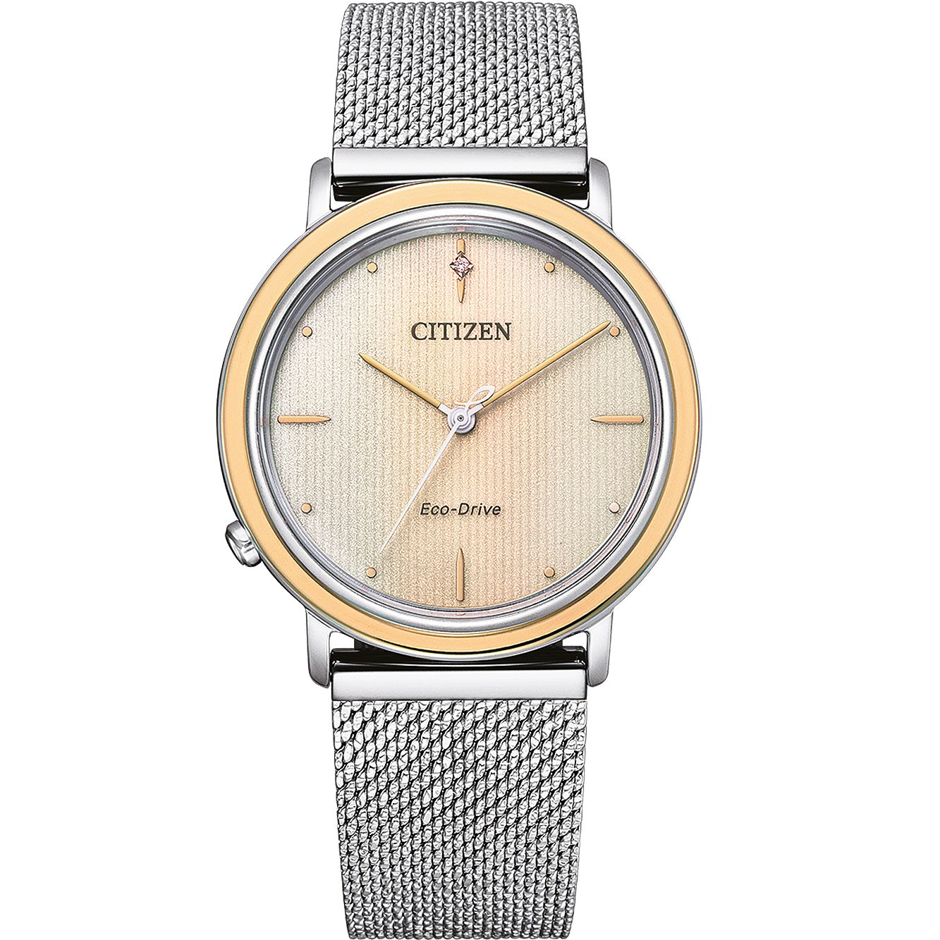 CITIZEN Mod. EM1006-40A-1