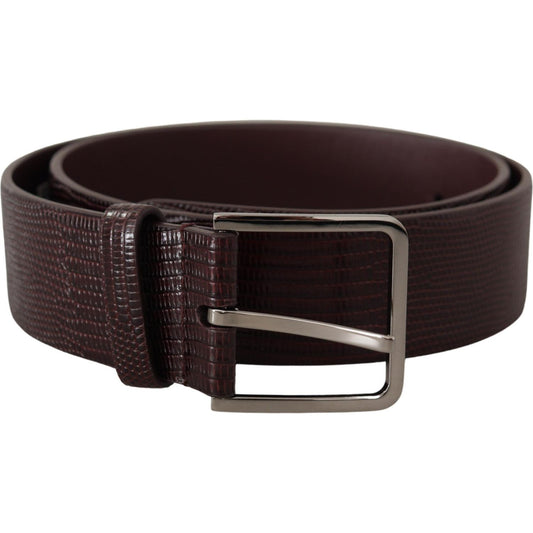 Dolce & Gabbana Elegant Dark Brown Leather Belt dark-brown-calf-leather-silver-logo-metal-buckle-belt