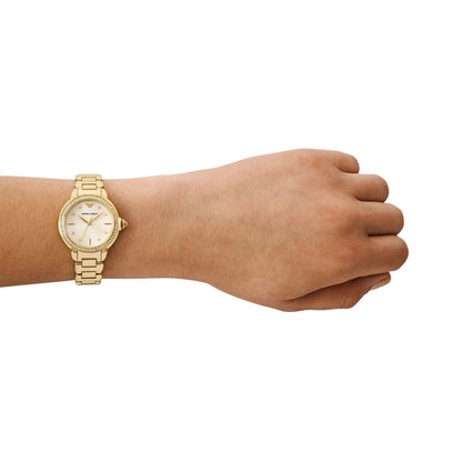 Mod. AR11609 READY STOCKED WATCHES