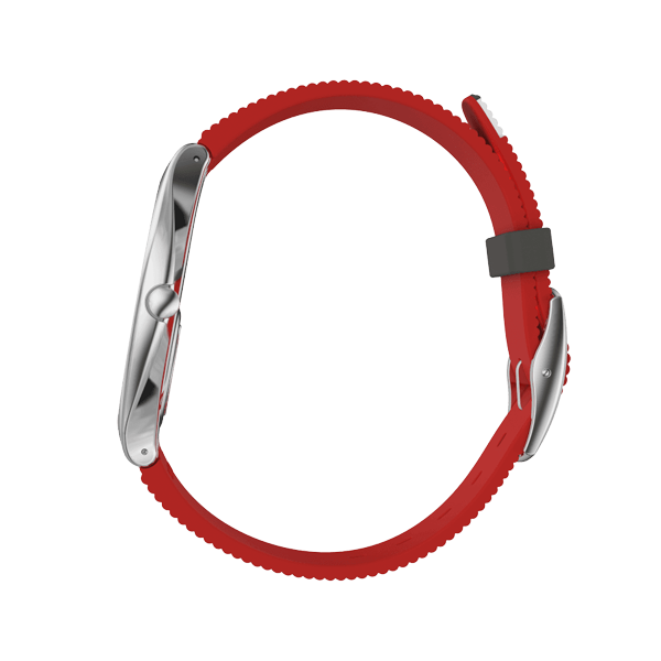 SWATCH Mod. SKINFLAG-3