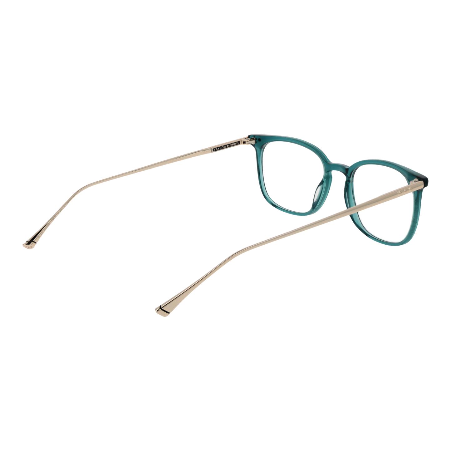 TAYLOR MORRIS MOD. TM06 49C4