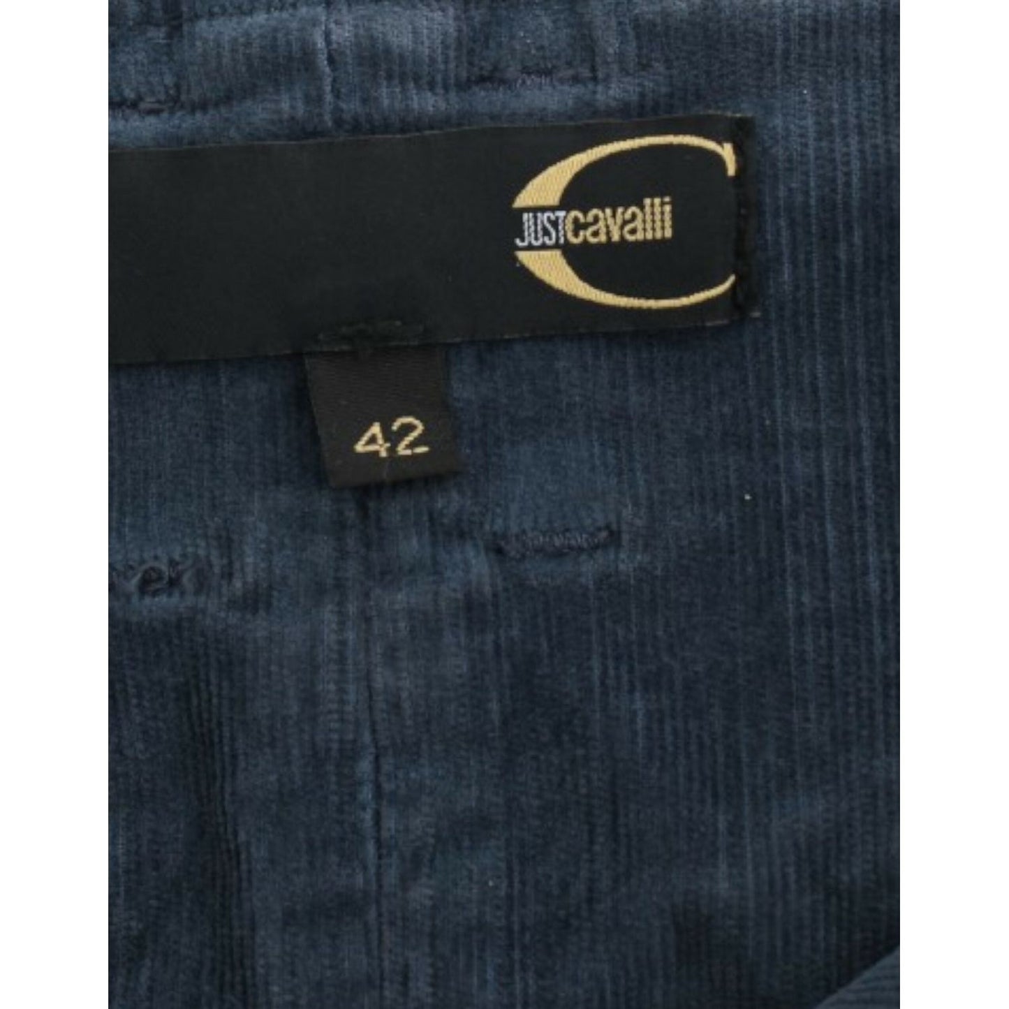 Cavalli Elegant Blue Pencil Skirt blue-corduroy-pencil-skirt 9182-blue-corduroy-pencil-skirt-6-scaled-bccb7f41-c4f.jpg