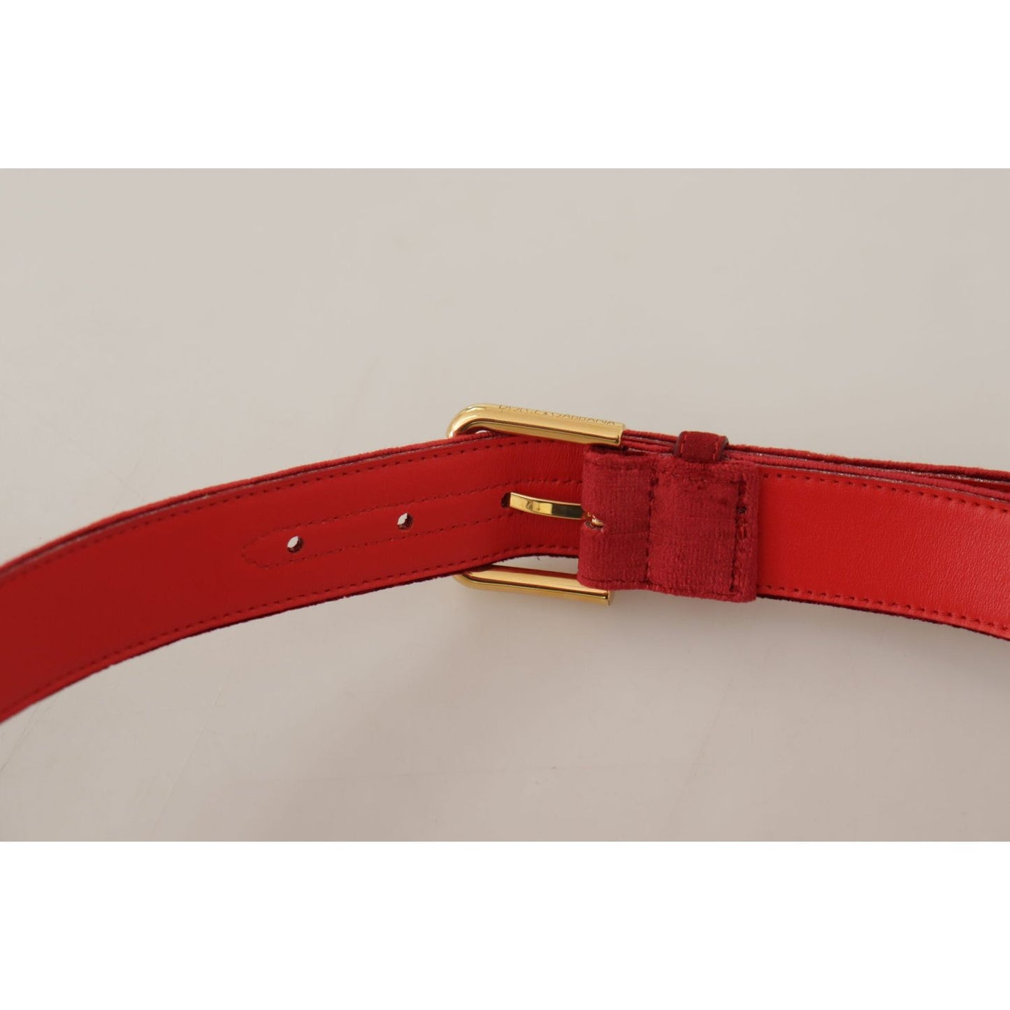 Dolce & Gabbana Elegant Red Suede Designer Belt red-velvet-gold-logo-engraved-metal-buckle-belt IMG_0489-scaled-3fa3477d-51f.jpg