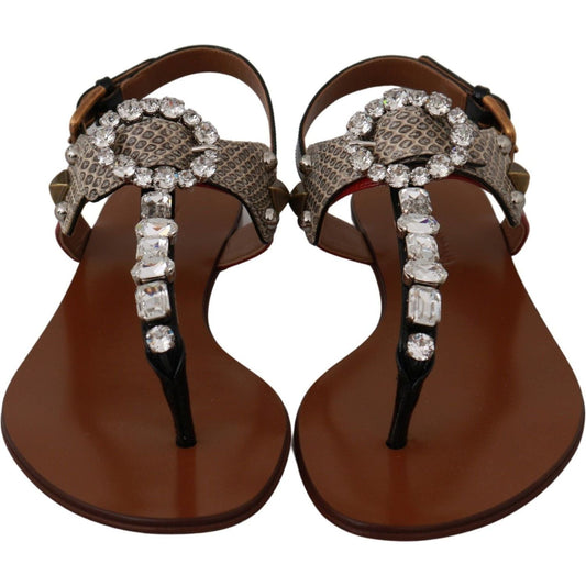 Dolce & Gabbana Elegant Strappy Sandals with Exotic Charm leather-ayers-crystal-sandals-flip-flops-shoes IMG_1604-62fbdaf4-839.jpg