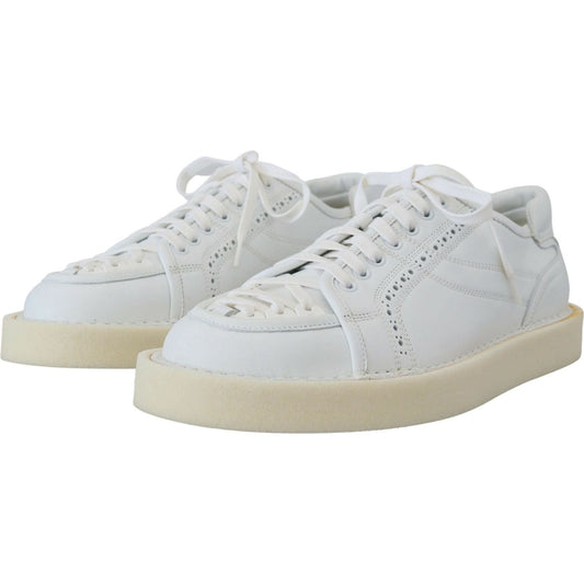 Dolce & Gabbana Elegant White Low Top Oxford Sneakers white-leather-low-top-oxford-sneakers-casual-shoes