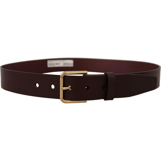 Dolce & Gabbana | Brown Calf Leather Gold Tone Metal Buckle Belt | McRichard Designer Brands