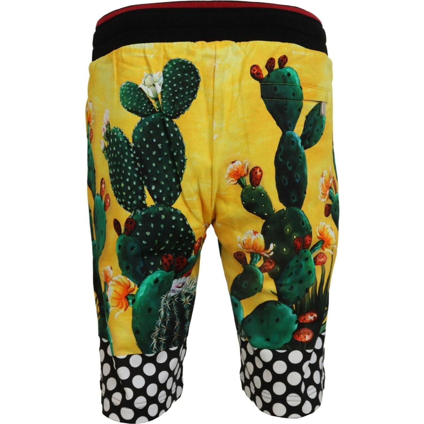 Dolce & GabbanaMulticolor Cactus Print Sweat ShortsMcRichard Designer Brands£299.00