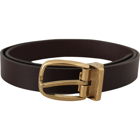 Dolce & Gabbana Elegant Dark Brown Leather Belt dark-brown-calf-leather-gold-tone-metal-buckle