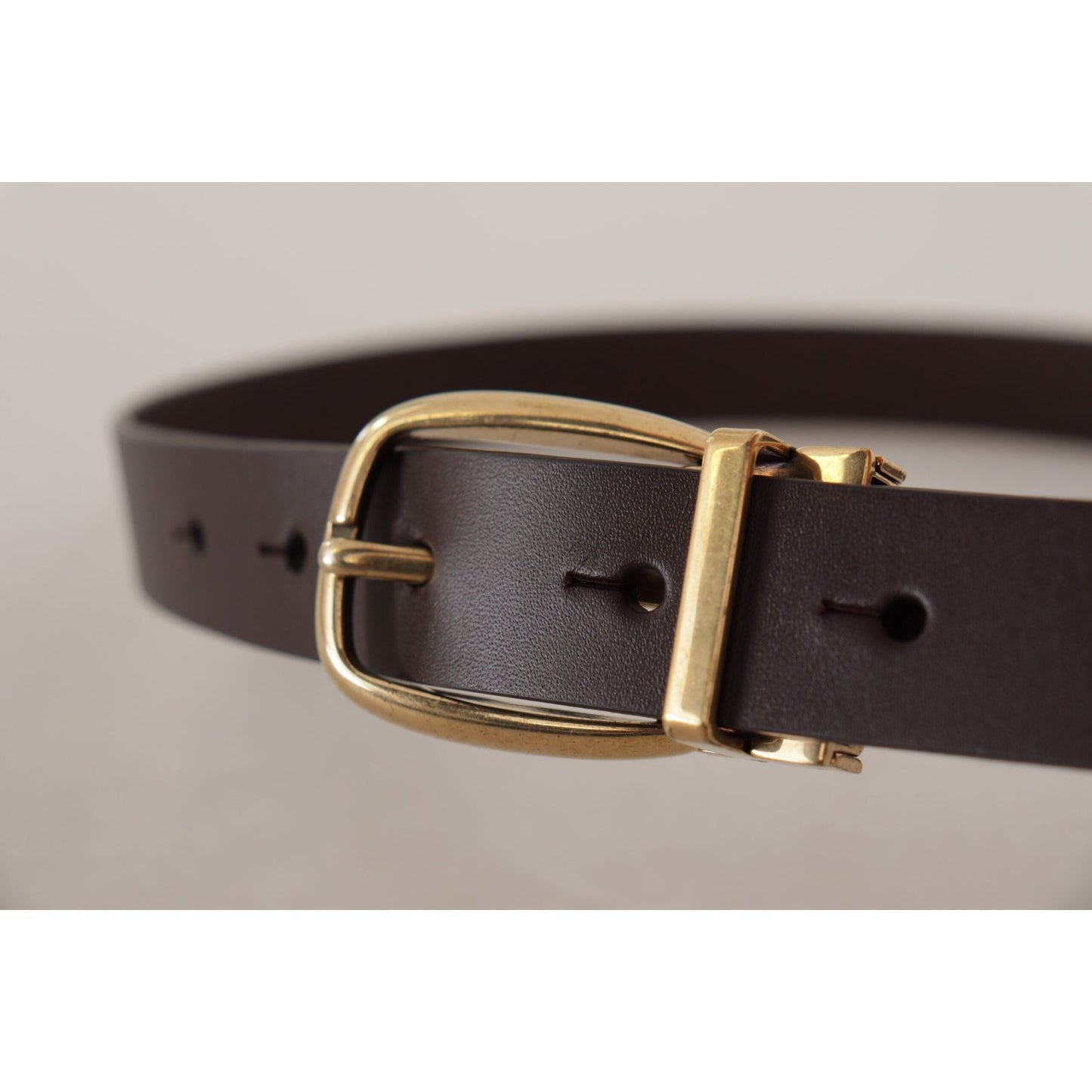 Dolce & Gabbana Elegant Dark Brown Leather Belt dark-brown-calf-leather-gold-tone-metal-buckle