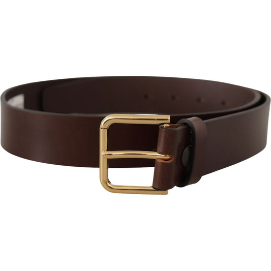 Dolce & Gabbana Elegant Dark Brown Leather Belt brown-plain-calf-leather-gold-tone-buckle-belt