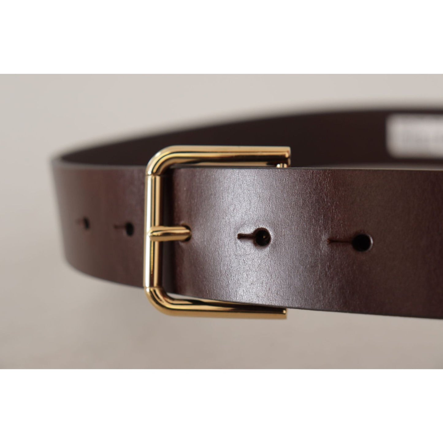 Dolce & Gabbana Elegant Dark Brown Leather Belt brown-plain-calf-leather-gold-tone-buckle-belt