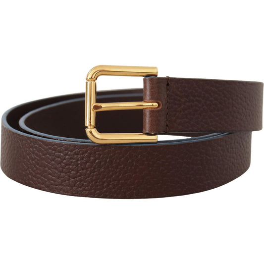 Dolce & Gabbana Elegant Brown Leather Belt with Gold Buckle brown-calf-leather-gold-logo-engraved-buckle-velt
