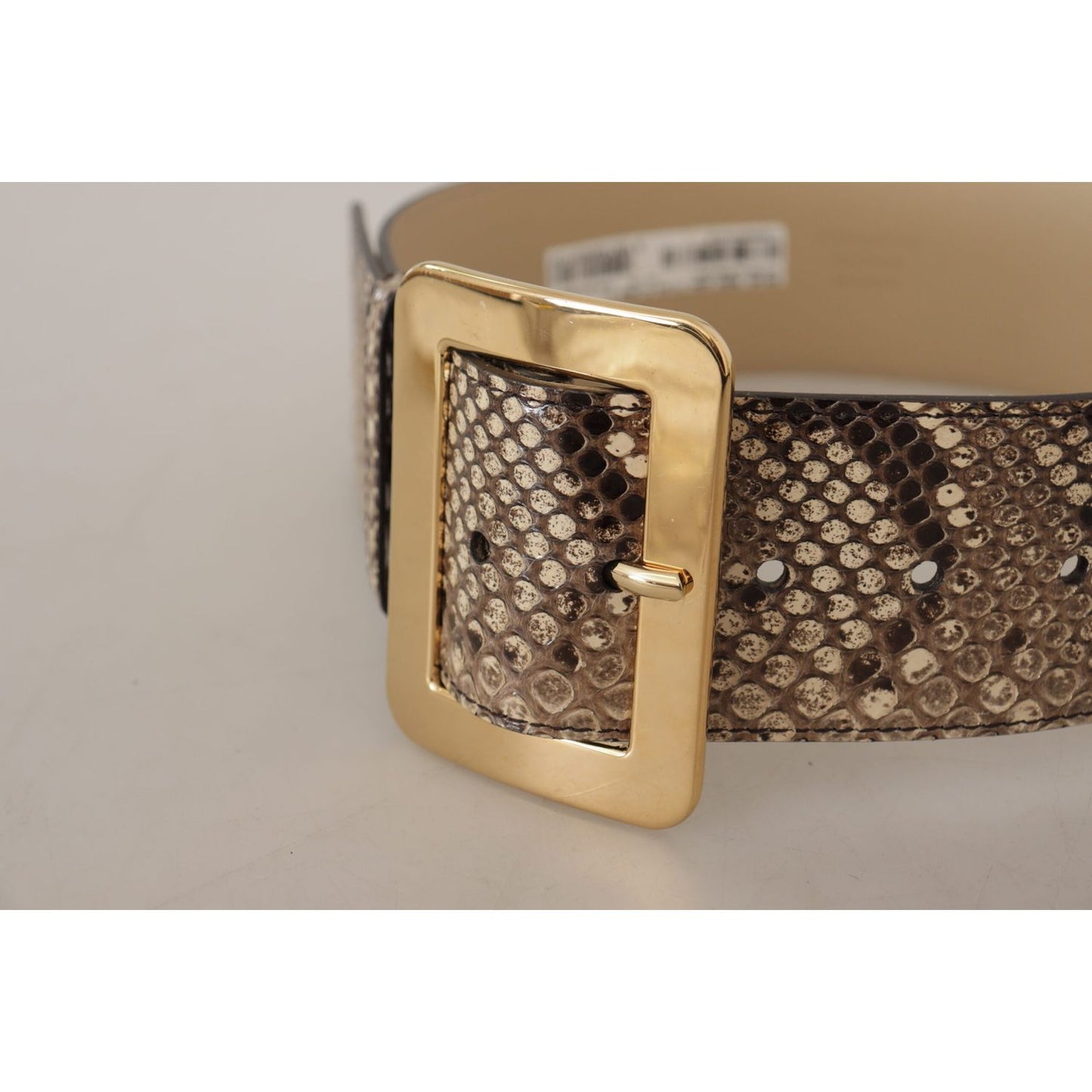 Dolce & Gabbana Brown Exotic Wide Waist Leather Gold Metal Buckle Belt brown-exotic-wide-waist-leather-gold-metal-buckle-belt IMG_9049-1-scaled-884eb50d-cae.jpg