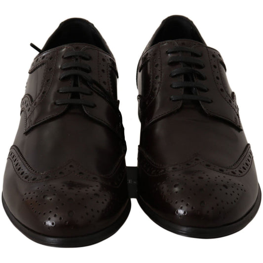 Dolce & Gabbana Elegant Brown Leather Oxford Flats brown-leather-broques-oxford-wingtip-shoes