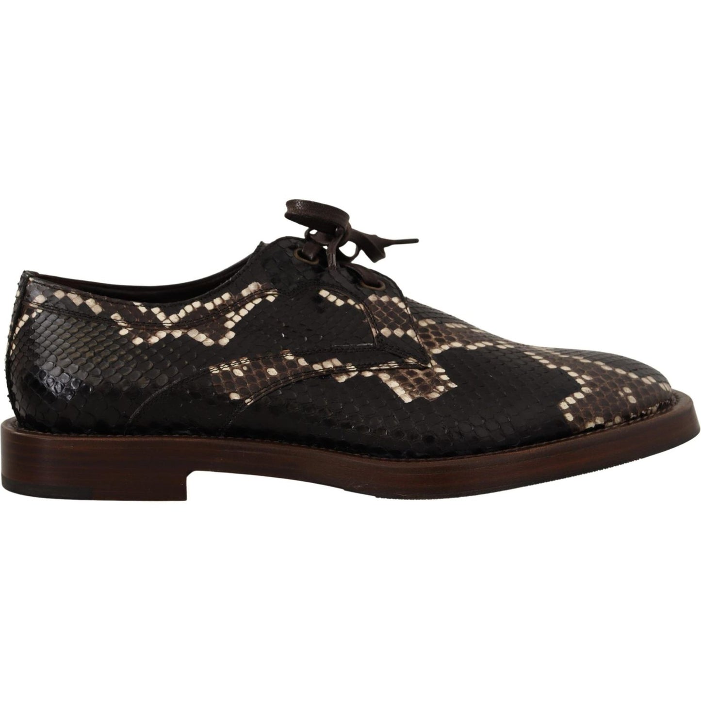 Dolce & Gabbana Elegant Formal Python Derby Shoes brown-derby-exotic-leather-men-shoes