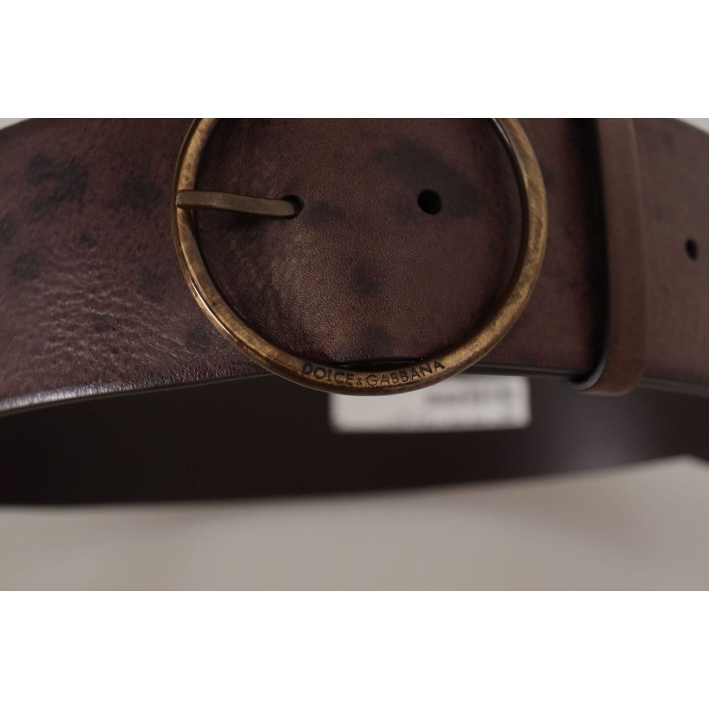 Dolce & Gabbana Elegant Dark Brown Leather Belt with Logo Buckle dark-brown-wide-calf-leather-logo-round-buckle-belt IMG_9752-1-scaled-1a5256d4-b05.jpg