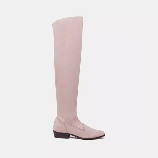 Charles Philip Elegant Beige Suede Leather Knee-High Boots beige-boot-1 product-10437-850621755-6862b5e1-3f0.webp