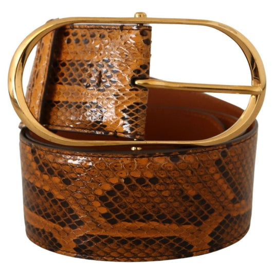 Dolce & Gabbana Elegant Python Skin Leather Belt WOMAN BELTS brown-exotic-leather-gold-oval-buckle-belt s-l1600-1-269-68f5d7e4-021.jpg